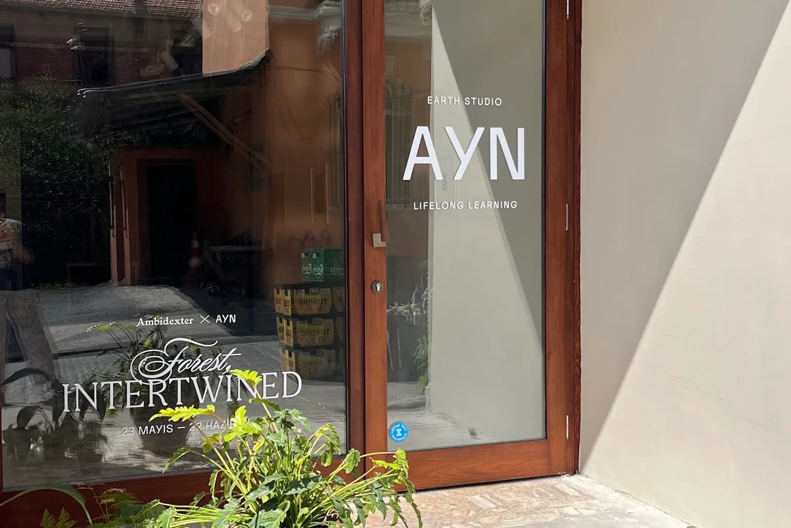 Ayn Earth cover